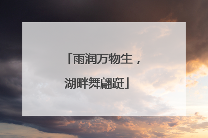 雨润万物生，湖畔舞翩跹