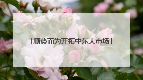 顺势而为开拓中东大市场