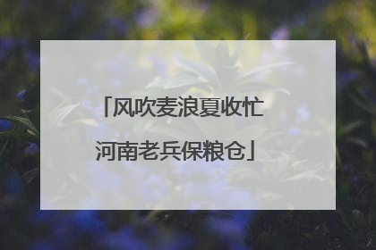 风吹麦浪夏收忙 河南老兵保粮仓