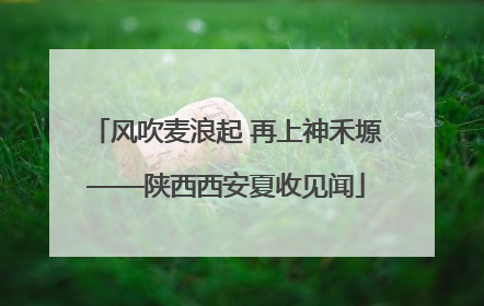风吹麦浪起 再上神禾塬——陕西西安夏收见闻