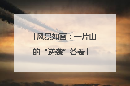风景如画：一片山的“逆袭”答卷