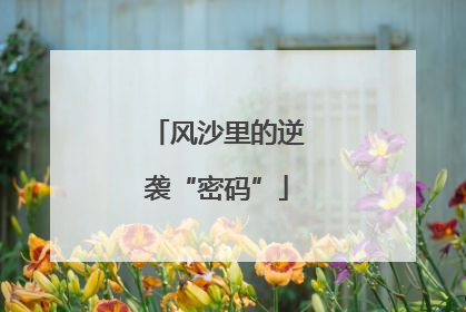 风沙里的逆袭“密码”
