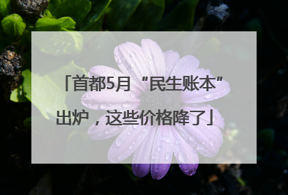 首都5月“民生账本”出炉，这些价格降了