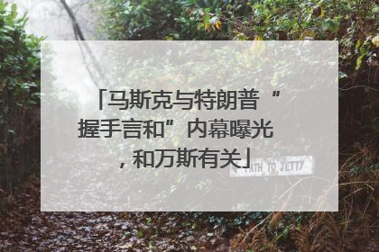 马斯克与特朗普“握手言和”内幕曝光，和万斯有关