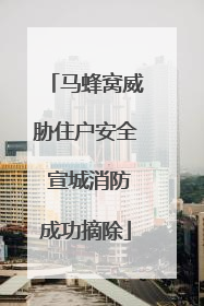 马蜂窝威胁住户安全 宣城消防成功摘除