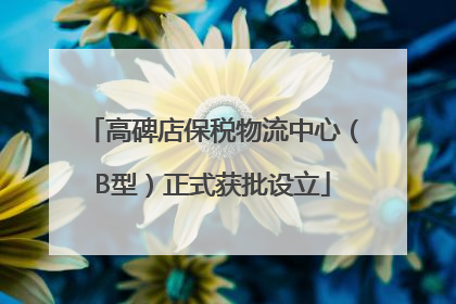 高碑店保税物流中心（B型）正式获批设立