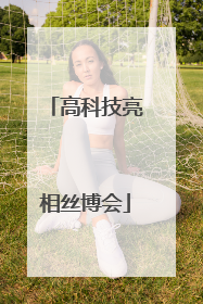 高科技亮相丝博会