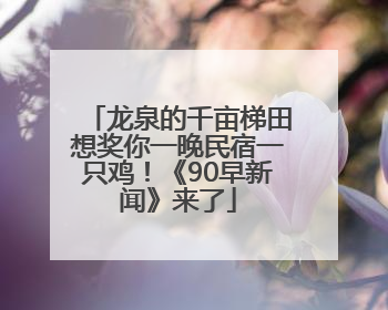 龙泉的千亩梯田想奖你一晚民宿一只鸡！《90早新闻》来了