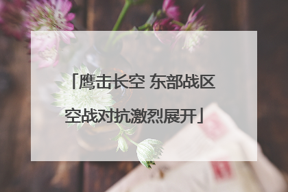 鹰击长空 东部战区空战对抗激烈展开