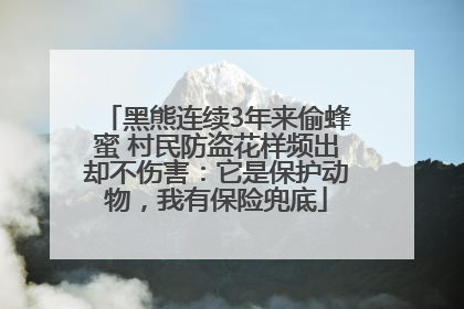 黑熊连续3年来偷蜂蜜 村民防盗花样频出却不伤害：它是保护动物，我有保险兜底