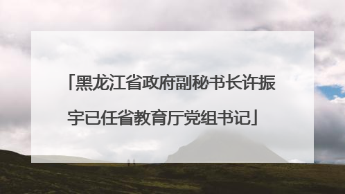 黑龙江省政府副秘书长许振宇已任省教育厅党组书记