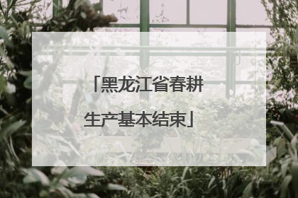 黑龙江省春耕生产基本结束
