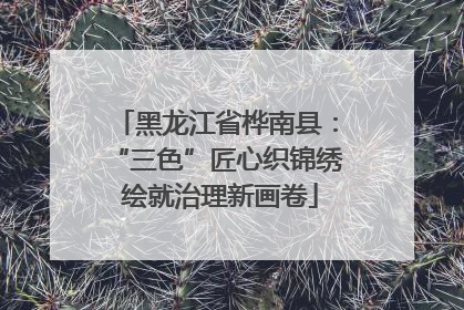 黑龙江省桦南县：“三色”匠心织锦绣 绘就治理新画卷