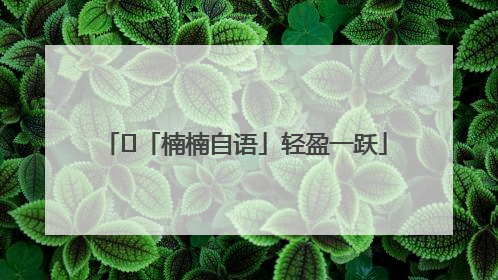 ﻿「楠楠自语」轻盈一跃