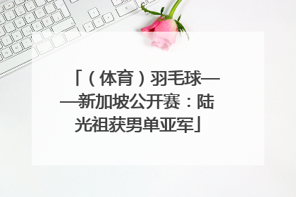 （体育）羽毛球——新加坡公开赛：陆光祖获男单亚军