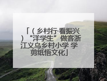 （乡村行·看振兴）“洋学生”做客浙江义乌乡村小学 学剪纸悟文化