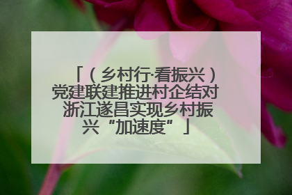 （乡村行·看振兴）党建联建推进村企结对 浙江遂昌实现乡村振兴“加速度”