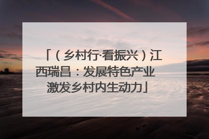 （乡村行·看振兴）江西瑞昌：发展特色产业 激发乡村内生动力