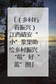 （乡村行·看振兴）江西靖安“小”浆果助绘乡村振兴“莓”好“蓝”图