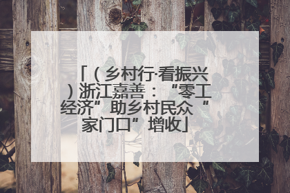 （乡村行·看振兴）浙江嘉善：“零工经济”助乡村民众“家门口”增收