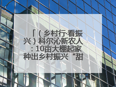 （乡村行·看振兴）科尔沁新农人：10亩大棚起家种出乡村振兴“甜蜜果”