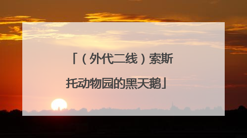 （外代二线）索斯托动物园的黑天鹅