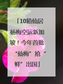 10箱仙居杨梅空运新加坡！今年首批“仙梅”抢“鲜”出国