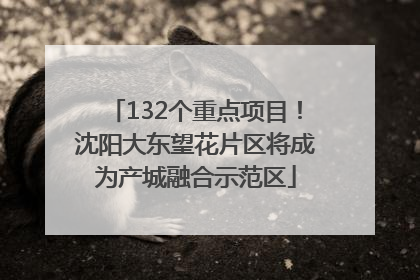 132个重点项目！沈阳大东望花片区将成为产城融合示范区