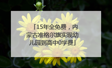 15年全免费，内蒙古准格尔旗实现幼儿园到高中0学费