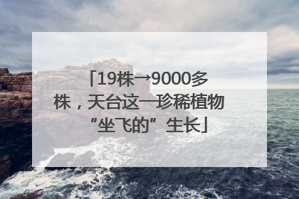 19株→9000多株，天台这一珍稀植物“坐飞的”生长