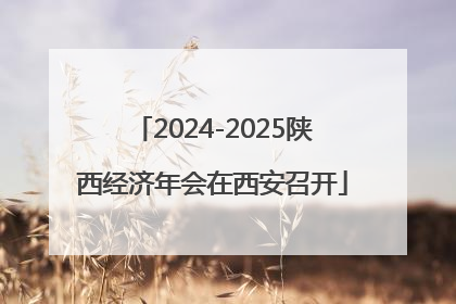 2024-2025陕西经济年会在西安召开