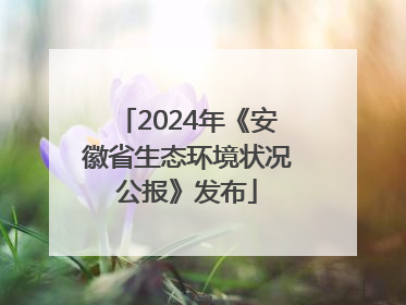 2024年《安徽省生态环境状况公报》发布