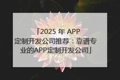 2025 年 APP 定制开发公司推荐：靠谱专业的APP定制开发公司