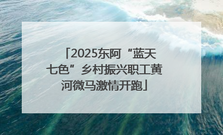 2025东阿“蓝天七色”乡村振兴职工黄河微马激情开跑
