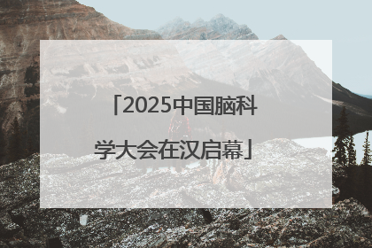 2025中国脑科学大会在汉启幕