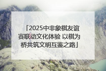 2025中非象棋友谊赛联动文化体验 以棋为桥共筑文明互鉴之路
