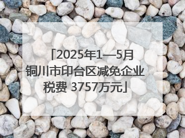 2025年1—5月铜川市印台区减免企业税费 3757万元
