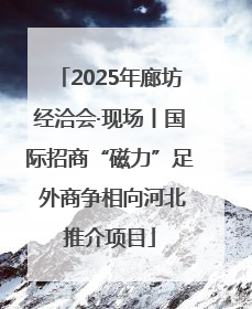 2025年廊坊经洽会·现场丨国际招商“磁力”足 外商争相向河北推介项目
