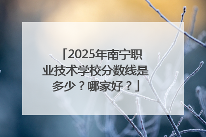2025年南宁职业技术学校分数线是多少？哪家好？