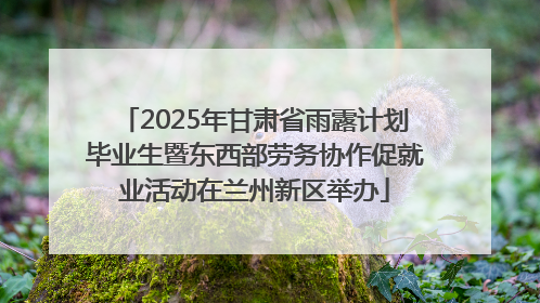 2025年甘肃省雨露计划毕业生暨东西部劳务协作促就业活动在兰州新区举办
