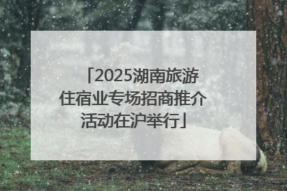 2025湖南旅游住宿业专场招商推介活动在沪举行