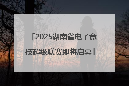 2025湖南省电子竞技超级联赛即将启幕