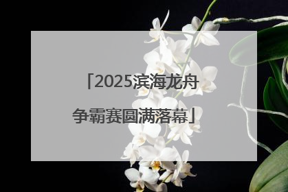 2025滨海龙舟争霸赛圆满落幕