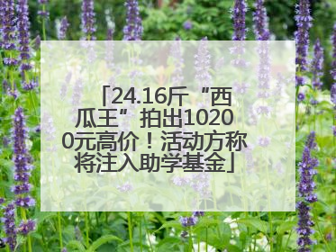24.16斤“西瓜王”拍出10200元高价！活动方称将注入助学基金