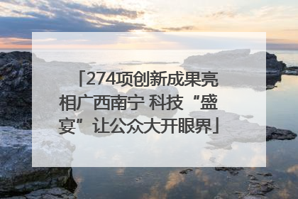 274项创新成果亮相广西南宁 科技“盛宴”让公众大开眼界