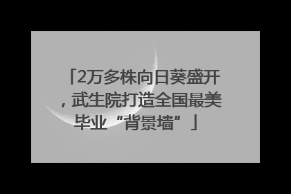 2万多株向日葵盛开，武生院打造全国最美毕业“背景墙”