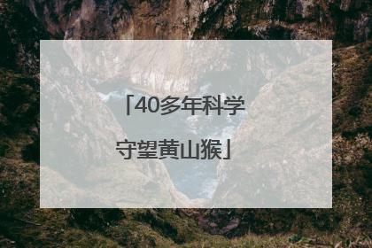 40多年科学守望黄山猴
