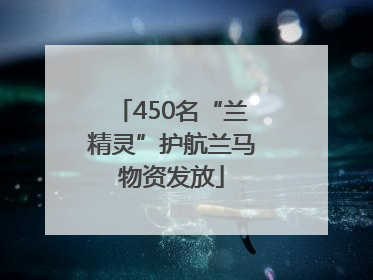 450名“兰精灵”护航兰马物资发放