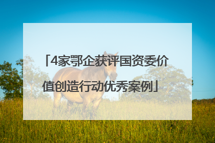 4家鄂企获评国资委价值创造行动优秀案例