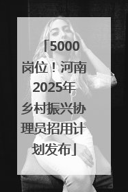 5000岗位！河南2025年乡村振兴协理员招用计划发布
